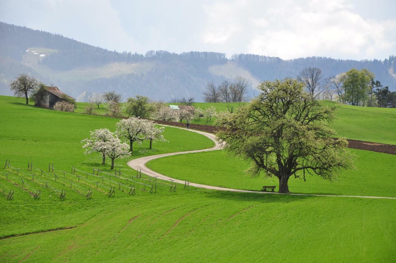 B&B Zum Rossli Zunzgen Luaran gambar