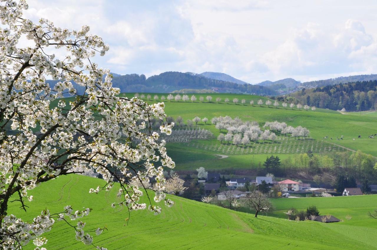 B&B Zum Rossli Zunzgen Luaran gambar